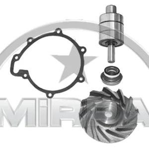 3972 | REPAIR KIT (WATER PUMP)
