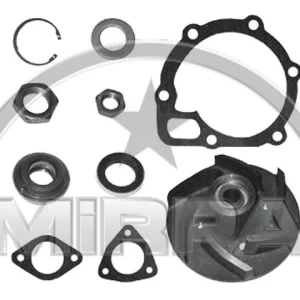 4101 | REPAIR KIT (WATER PUMP)