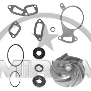 4107 | REPAIR KIT (WATER PUMP)
