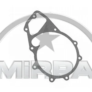 5862 | GASKET (WATER PUMP)