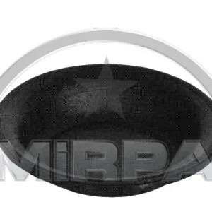 6184 | DIAPHRAGM(Q 16)(WABCO  TYPE)