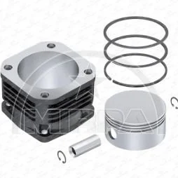 65234 | KOMPRESÖR SİLİNDİR GÖMLEK SET 100,00 MM MERCEDES ACTROS OM501-502-V6N- V8N