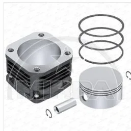 65247 | KOMPRESÖR SİLİNDİR GÖMLEK SETİ 100MM 377CC STROKE 48 MM MERCEDES ACTROS OM501-502-V6N-V8N