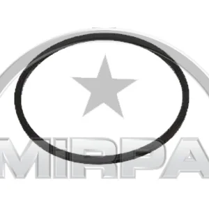 6893 | SEAL RING(FUEL FILTER)